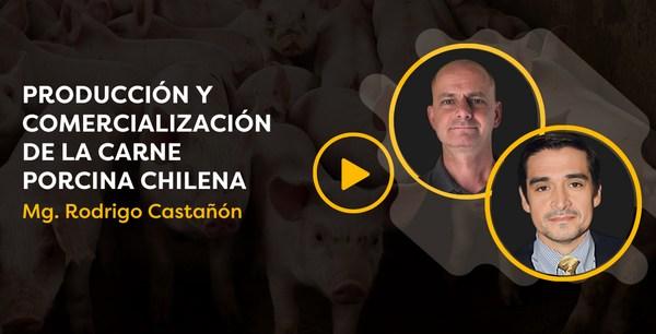 CerdoCast #80: Producción y comercialización de la carne porcina chilena - Image 1