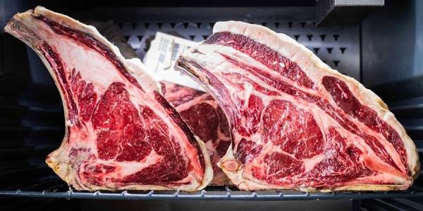 España: Galicia quiere posicionarse como región productora de carne de referencia - Image 1