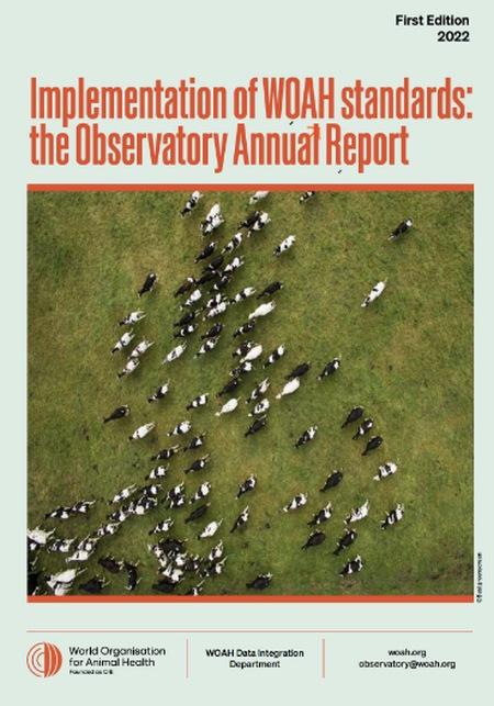 OMSA: Primer Informe anual del Observatorio - Image 1