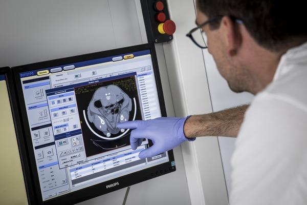 España - La tomografía computarizada para mejorar la producción porcina - Image 1