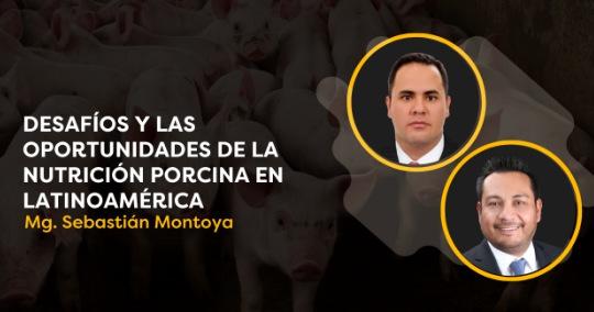 CerdoCast #91 - Nutrición porcina en Latinoamérica: Desafíos y oportunidades - Image 1