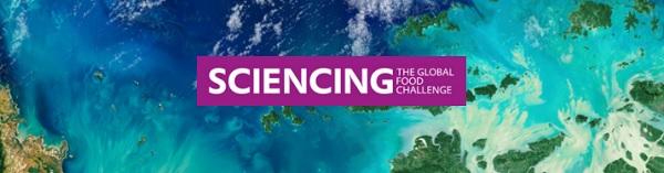 Efi-ciencia en la Producción Avícola - Image 1