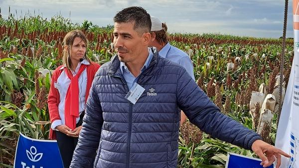 Argentina - Lanzan nueva línea de semillas de trigo en el país - Image 2