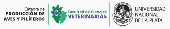Argentina - Bioseguridad en avicultura: Curso de Posgrado - Image 1