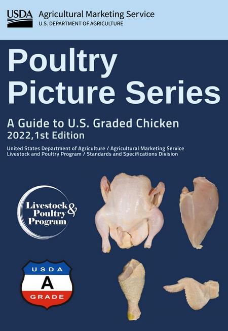 EE.UU. - USDA publico una guía de defectos en el pollo procesado - Image 1