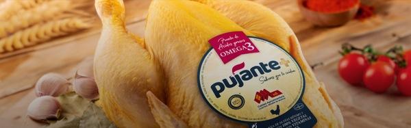 España - Presentan pollo fuente de ácidos grasos Omega-3 - Image 1