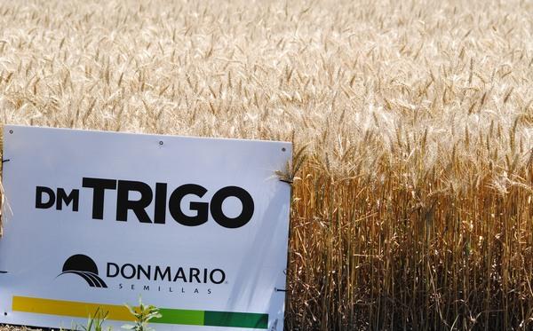 Argentina - Jornada de Trigo 2023: potenciar el rinde y la productividad en cada campaña - Image 3