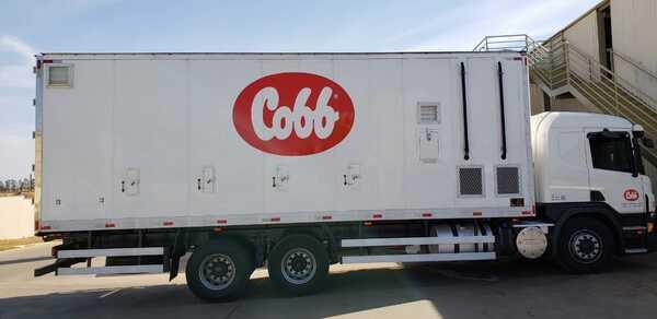 Cobb-Vantress introduce nuevo furgón para transporte de pollitos BB en Perú - Image 1