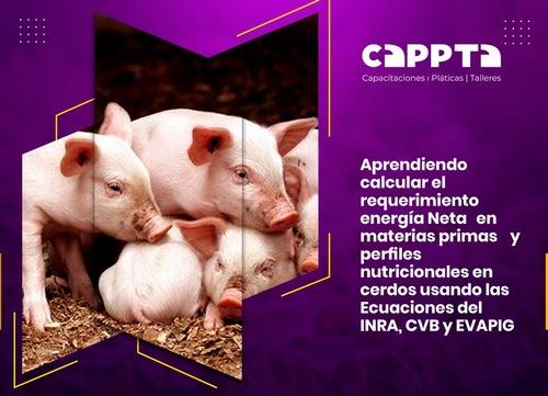 Energía Neta en la dieta de los Cerdos: Taller desde Guatemala - Image 1