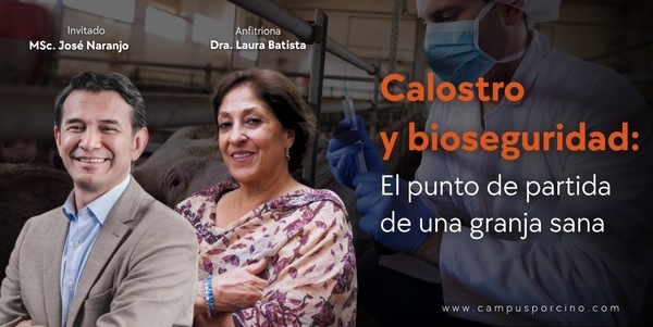 CerdoCast #213 - Calostro y bioseguridad: El punto de partida de una granja sana - Image 1