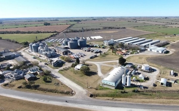 Argentina - Grupo Bolzán cumple 40 años: Del tambo a vender huevos - Image 3