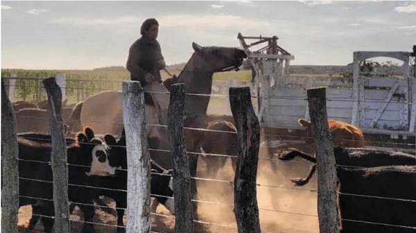 ¿“Hombre de campo” o empresario digital? El nuevo rol del productor agropecuario - Image 1