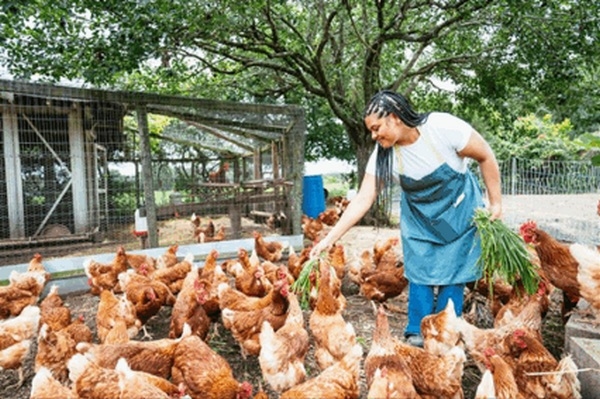 Sanidad animal: Se invierte menos pese al aumento de las crisis sanitarias - Image 2