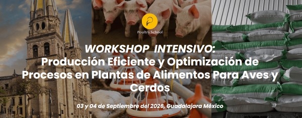 México - Eficiencia en plantas de alimentos balanceados para aves y cerdos. Workshop internacional en Guadalajara - Image 1