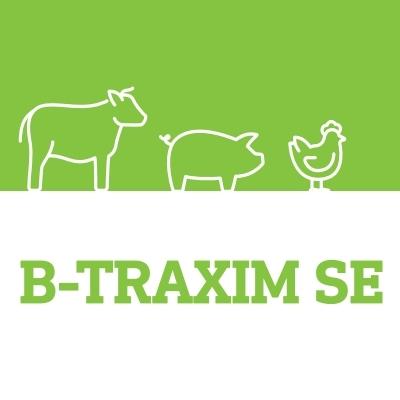 B-TRAXIM SE
