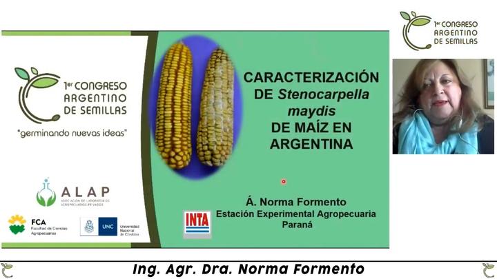 Stenocarpella maydis en maíz y Micotoxicosis en rumiantes