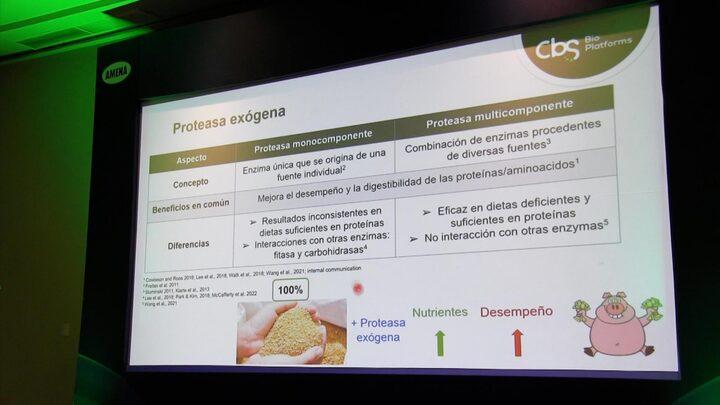 Digestibilidad de proteínas/Aminoácidos: MultiProteasas
