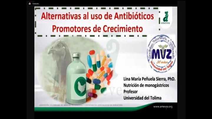 Alternativas al uso de antibióticos: Dra. Lina Peñuela