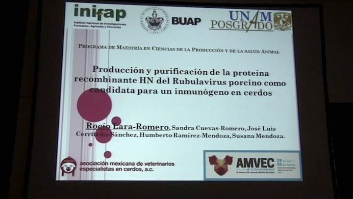 Inmunógenos en cerdos, Rocio Lara en AMVEC 2015