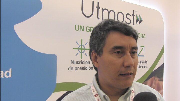 Conversión alimenticia en producción porcina, Javier Chica