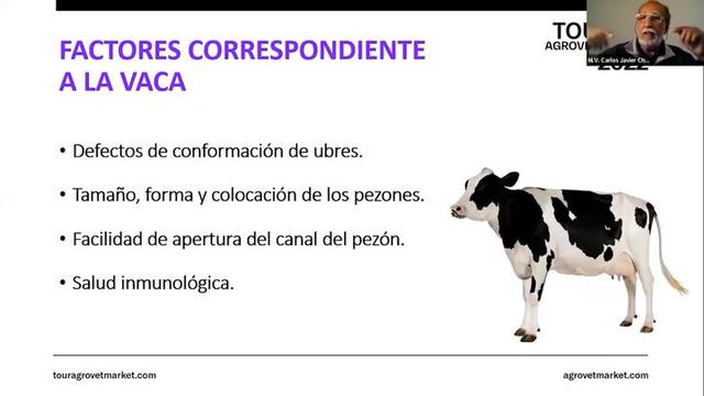 Complejo Mastítico: Características de la Vaca