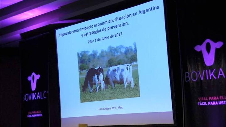 Hipocalcemia: Impacto económico, situación en Argentina y estrategias de prevención. Juan Matías Grigera