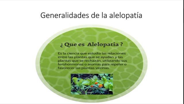 Alelopatia, la defensa de las plantas