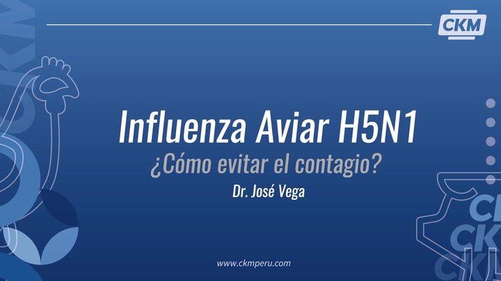 Influenza Aviar H5N1: ¿Cómo evitar el contagio?