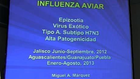 Influenza Aviar de alta patogenicidad en Mexico