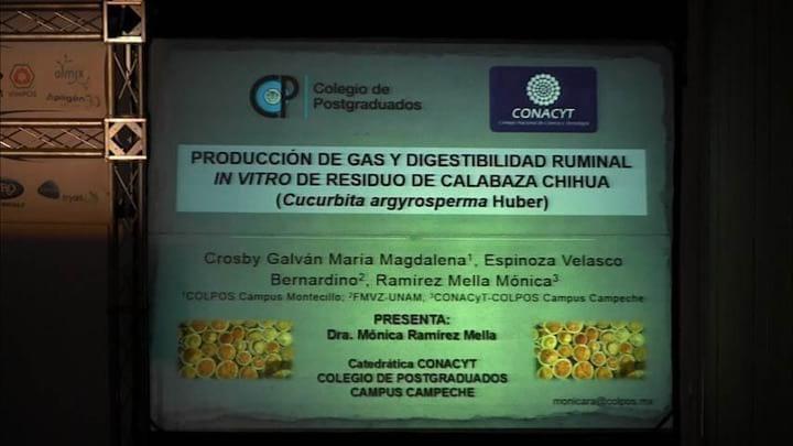 Producción de gas y digestibilidad ruminal in vitro de residuo de calabaza chihua