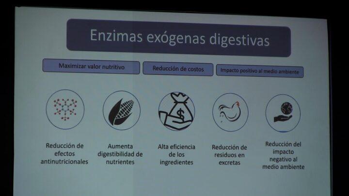Enzimas exógenas y calidad de huevo: Arturo Cortés Cuevas