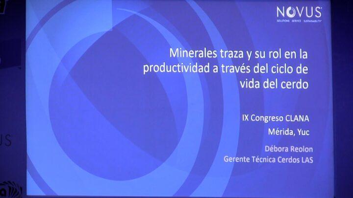Minerales traza: Su rol en la productividad del cerdo