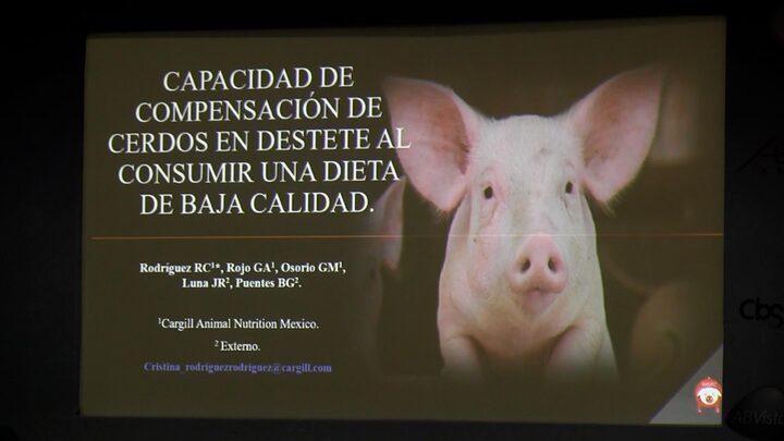 Cerdos al destete: Respuesta con dietas de baja calidad