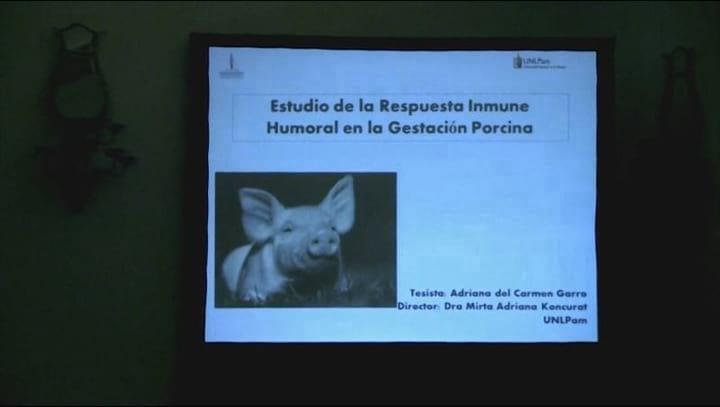 Respuesta Inmune Humoral en la Gestación Porcina, Adriana Garro