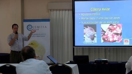 Bacterias en enfermedades respiratorias en aves: Yosef Huberman (INTA)