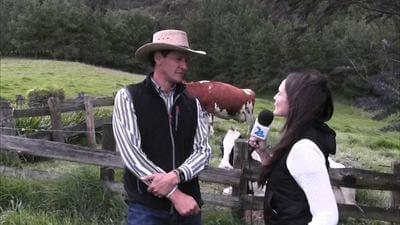 Producción de Holstein en Ecuador