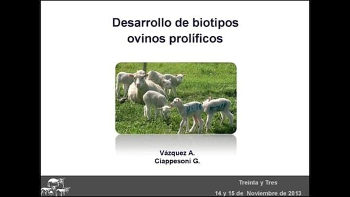  Desarrollo de biotipos ovinos prolíficos. Andrés Vázquez.