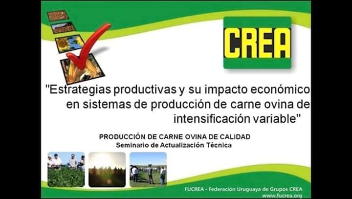 Estrategias Productivas y su Impacto Economico. Ignacio Buffa