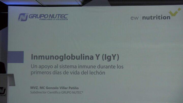 Inmunoglobulina Y, Apoyo en los primeros días del lechón