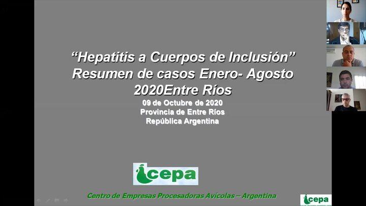 Hepatitis a cuerpo de inclusión, Resumen de casos