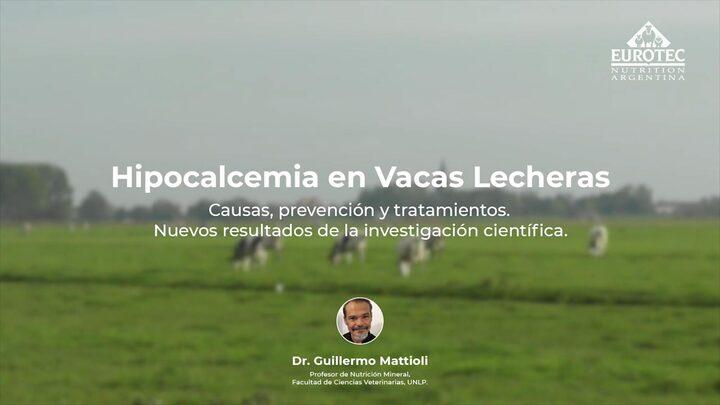 Hipocalcemia en Vacas Lecheras, Guillermo Mattioli
