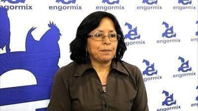 Micotoxinas en granos, Efecto en cerdos. Dra. Margarita Trujano Castillo