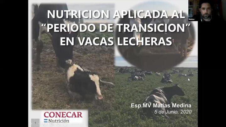 Nutrición aplicada al "periodo de transición" en vacas lecheras, Matias Medina