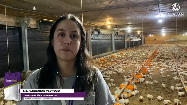 La problemática del amoniaco en la producción avícola y Control Doble A como alternativa