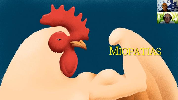 Miopatías en producción avícola: Fabio Nunes