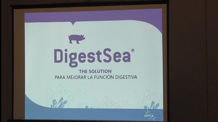 DigestSea: La solución para mejorar la función digestiva de los cerdos