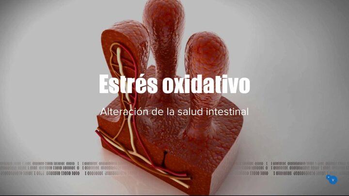 Estrés oxidativo: Efectos negativos sobre la salud intestinal