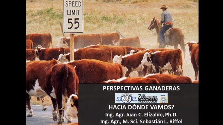 Perspectivas Ganaderas: ¿Hacia donde vamos?, PhD. Juan Elizalde