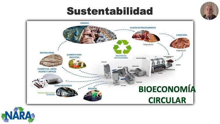 Rendering, Bioeconomía circular y sustentabilidad