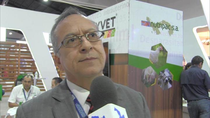 Uso de pronutrientes en cerdos: Alfonso Diaz Marin